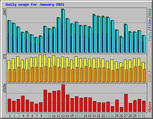 Daily usage for January 2021