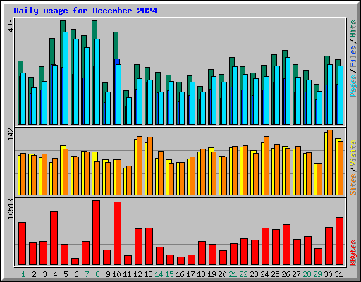 Daily usage for December 2024