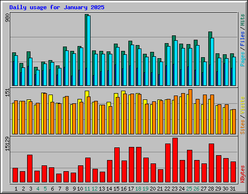 Daily usage for January 2025