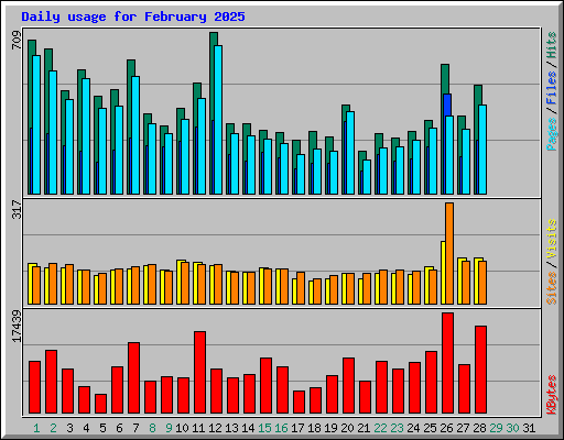 Daily usage for February 2025