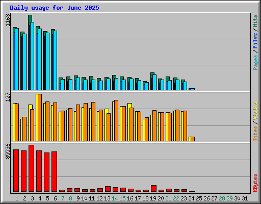 Daily usage for June 2025