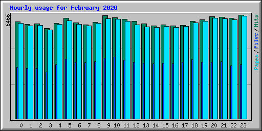 Hourly usage for February 2020