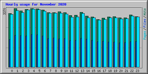 Hourly usage for November 2020