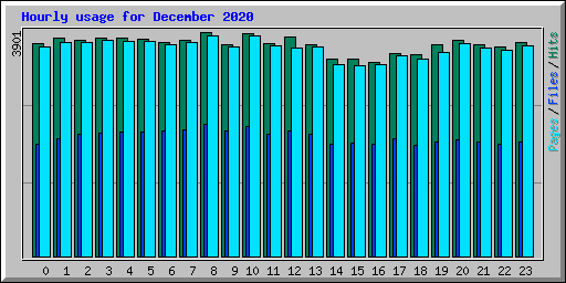 Hourly usage for December 2020