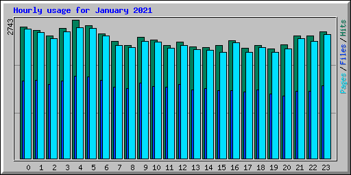 Hourly usage for January 2021