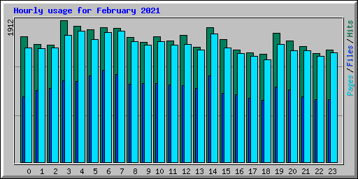 Hourly usage for February 2021