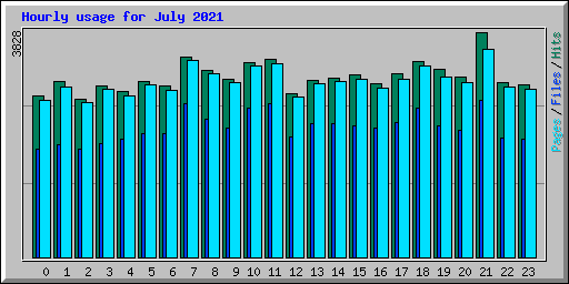 Hourly usage for July 2021