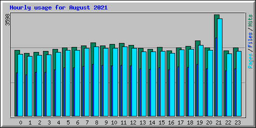 Hourly usage for August 2021