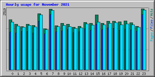 Hourly usage for November 2021