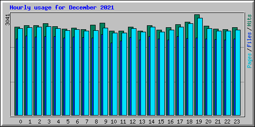 Hourly usage for December 2021