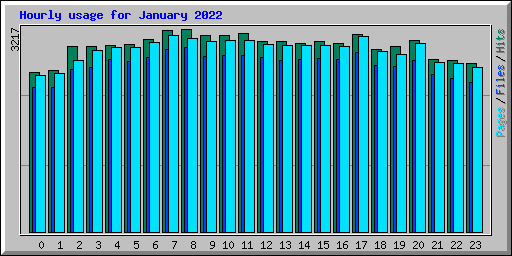 Hourly usage for January 2022