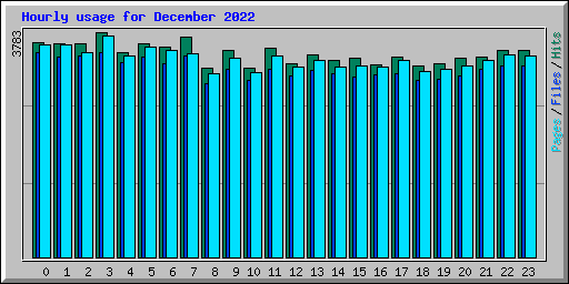 Hourly usage for December 2022