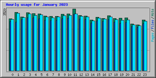 Hourly usage for January 2023