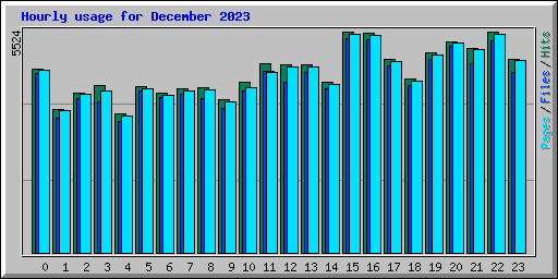 Hourly usage for December 2023