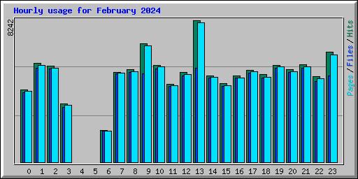 Hourly usage for February 2024