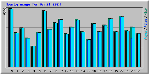 Hourly usage for April 2024