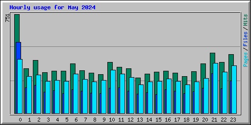 Hourly usage for May 2024