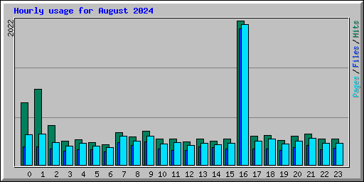 Hourly usage for August 2024