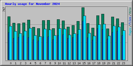 Hourly usage for November 2024