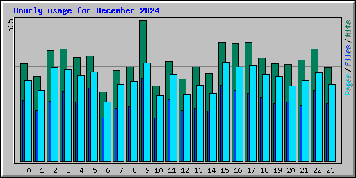 Hourly usage for December 2024
