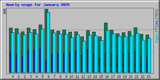 Hourly usage for January 2025