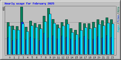 Hourly usage for February 2025