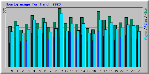 Hourly usage for March 2025