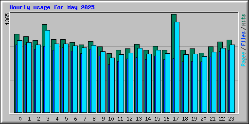 Hourly usage for May 2025