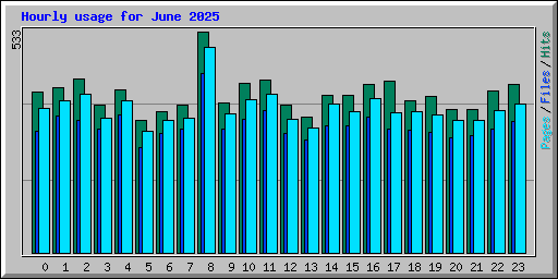 Hourly usage for June 2025