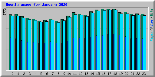 Hourly usage for January 2026