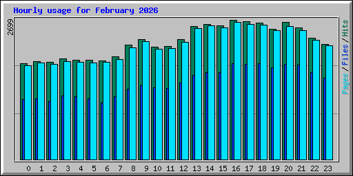 Hourly usage for February 2026
