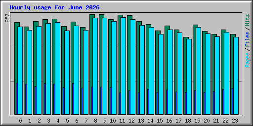 Hourly usage for June 2026