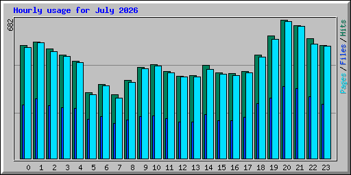 Hourly usage for July 2026
