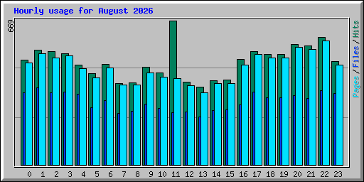 Hourly usage for August 2026